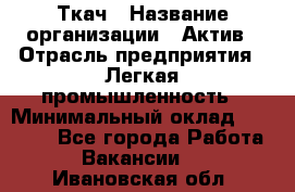 Ткач › Название организации ­ Актив › Отрасль предприятия ­ Легкая промышленность › Минимальный оклад ­ 35 000 - Все города Работа » Вакансии   . Ивановская обл.